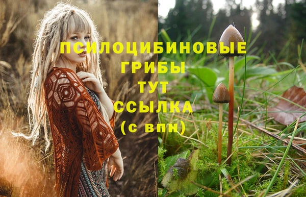 a pvp Абдулино