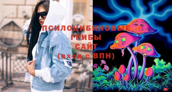 СК Покачи