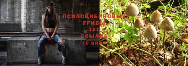 a pvp Абдулино