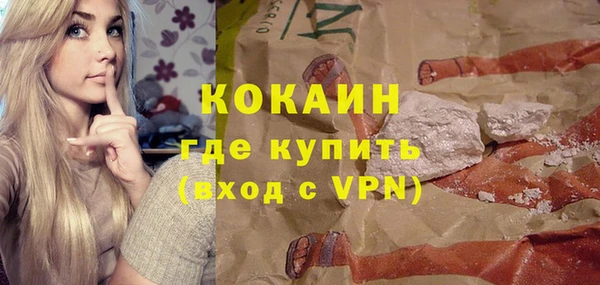 индика Ивантеевка